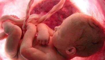 Prachtige video laat zwangerschap van 9 maanden in slechts 4 minuten zien