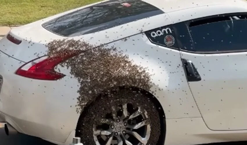 Deze man durft zijn auto waarschijnlijk nooit meer in! Wat zou jij doen?